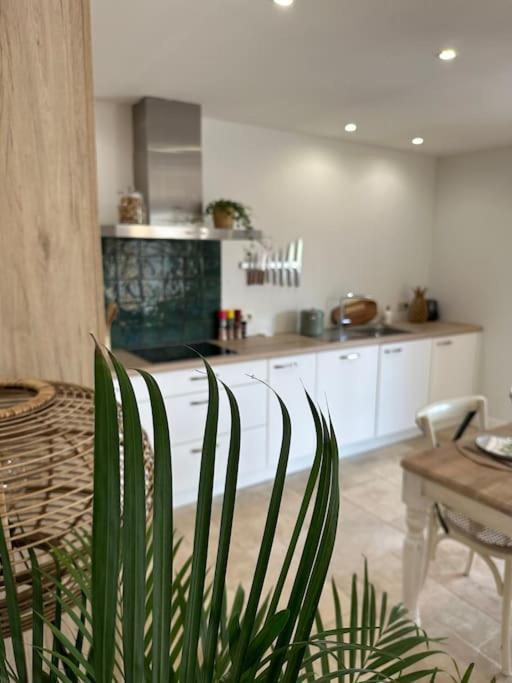 Lumineux Et Chaleureux Avec Piscine Estivale Ferienhaus *